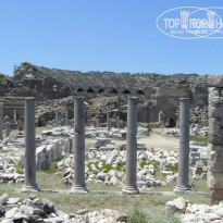 фото из отзыва ID 805812