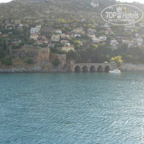 фото из отзыва ID 805812