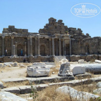 фото из отзыва ID 805812