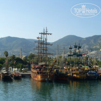 фото из отзыва ID 805812