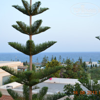 фото из отзыва ID 806142