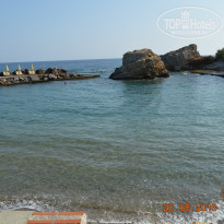 фото из отзыва ID 806142