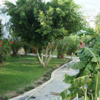 фото из отзыва ID 806252