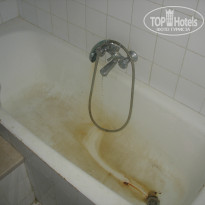 фото из отзыва ID 806302