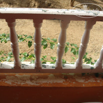 фото из отзыва ID 806302