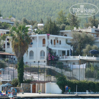 фото из отзыва ID 806316