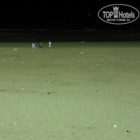 фото из отзыва ID 806357