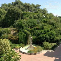 фото из отзыва ID 806457