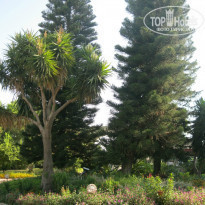 фото из отзыва ID 806457