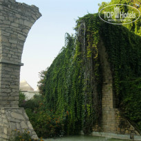 фото из отзыва ID 806457