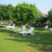 фото из отзыва ID 806457