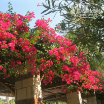 фото из отзыва ID 806457