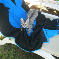 фото из отзыва ID 806457