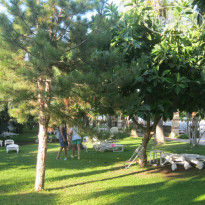 фото из отзыва ID 806457