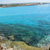 фото из отзыва ID 806471