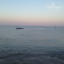 фото из отзыва ID 806657