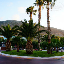 фото из отзыва ID 806783