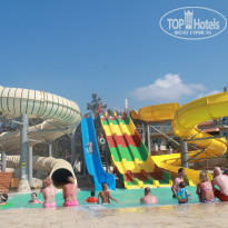 фото из отзыва ID 806999