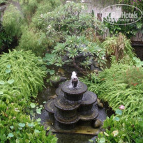 фото из отзыва ID 80684