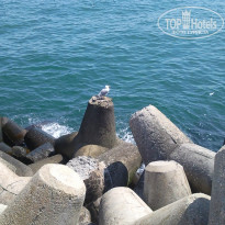 фото из отзыва ID 806344