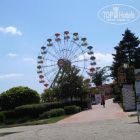 фото из отзыва ID 806344