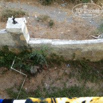 фото из отзыва ID 807001