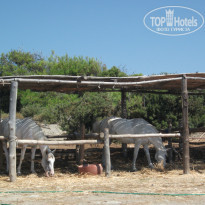 фото из отзыва ID 807123