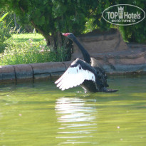 фото из отзыва ID 807165