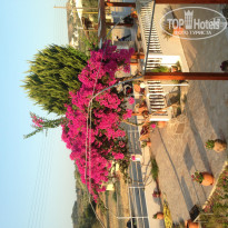 фото из отзыва ID 807286