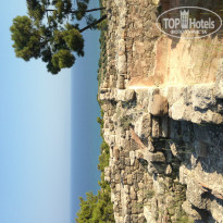 фото из отзыва ID 807286