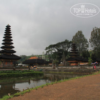 фото из отзыва ID 807332