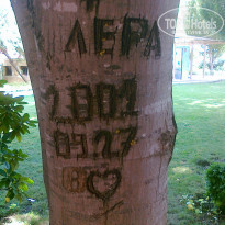 фото из отзыва ID 807464