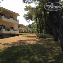 фото из отзыва ID 807696