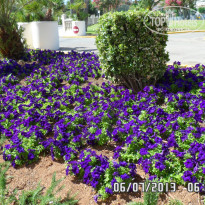 фото из отзыва ID 807914