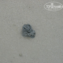 фото из отзыва ID 807921