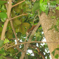 фото из отзыва ID 807921