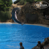 фото из отзыва ID 807934