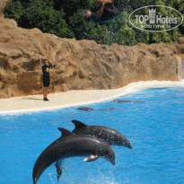 фото из отзыва ID 807934