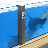 фото из отзыва ID 807934