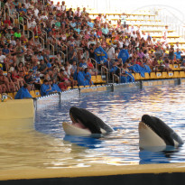 фото из отзыва ID 807934