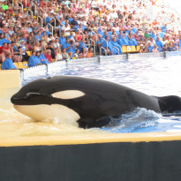 фото из отзыва ID 807934