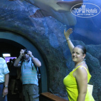 фото из отзыва ID 807934