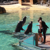 фото из отзыва ID 807934