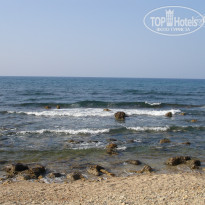 фото из отзыва ID 808037