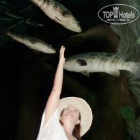 фото из отзыва ID 808143