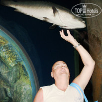 фото из отзыва ID 808143