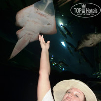 фото из отзыва ID 808143