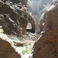 фото из отзыва ID 809054