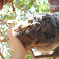 фото из отзыва ID 809054