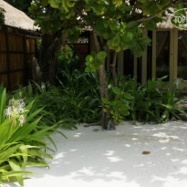 фото из отзыва ID 809328